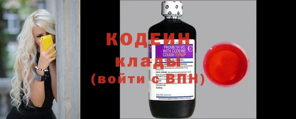 трава Арсеньев