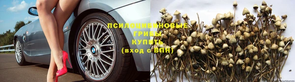 ALPHA-PVP Снежинск